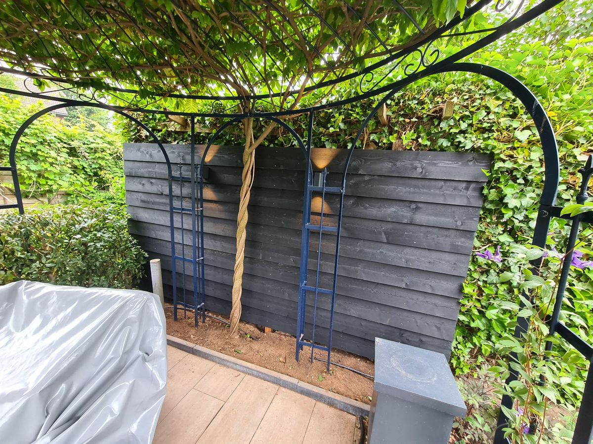 Pergola met klimplanten en beplanting, aangelegd door Kalishoek Tuinen