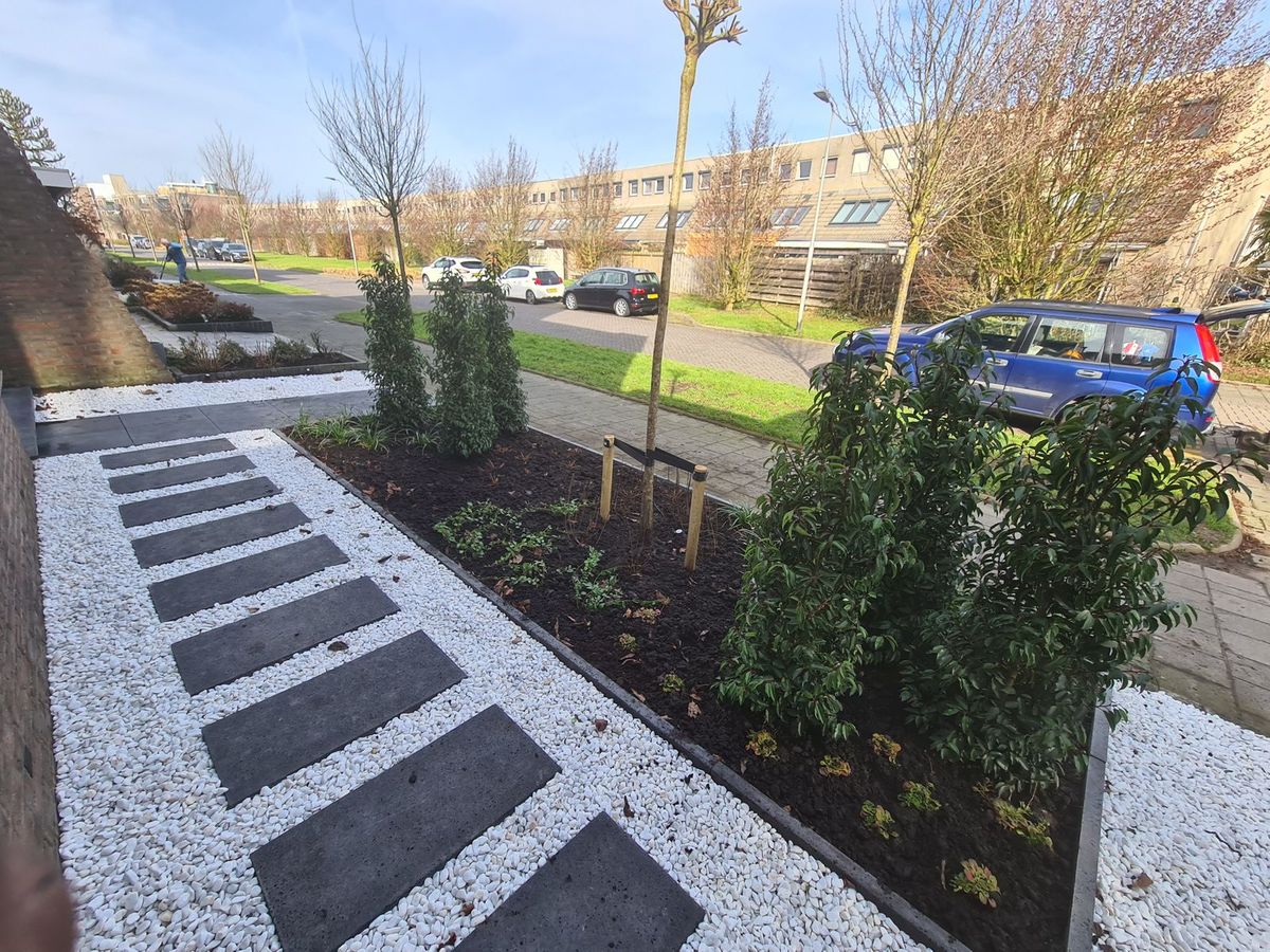 Voortuin met gedessineerde sierbestrating en jonge beplanting